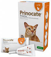 Prinocat (Прінокат) краплі на холку від бліх, кліщів та гельмінтів для котів до 4 кг 1 шт
