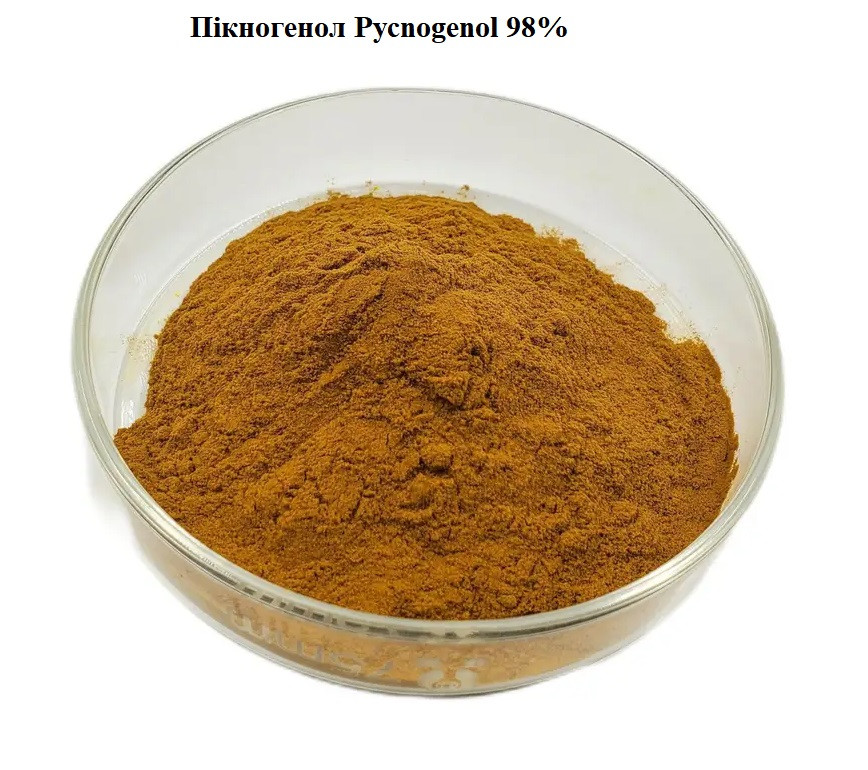 Пікногенол pycnogenol extract 98%
