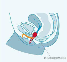 Вагінальний кулька Fun Factory Smartball Uno, 3,5 см Червоно-білий, фото 4