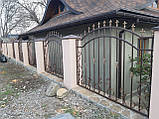 Хвіртка і огорожа, фото 5