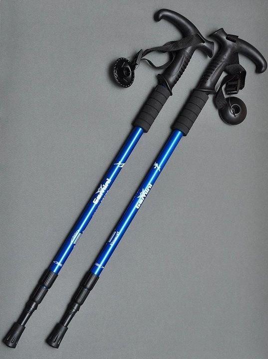 Палиці для скандинавської ходьби тростина Gemini із системою Anti-shok Синій