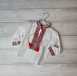 Біла вишиванка на хлопчика з червоною окантовкою на 1 рік