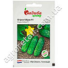 Огірок Кибрия F1 10 шт Rijk Zwaan, фото 3