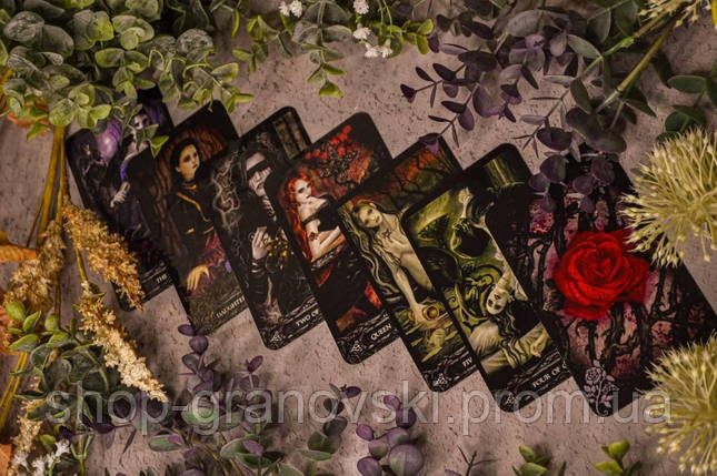 Гадальні карти Таро вампірів (Фантасмагорія) (Tarot of Vampyres), фото 2