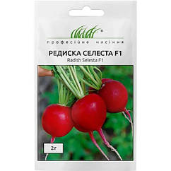 Редис Селеста F1 Enza Zaden/Нідерланди 2 г