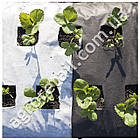 Агроволокно двошарове чорно-біле щільність 50 ширина 1.07 м на метраж Agreen, фото 4