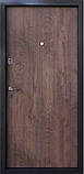 Вхідні двері Qdoors Преміум Люксор, фото 2