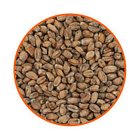 Солод пшеничний Wheat Malt (Bindewald) 1 кг