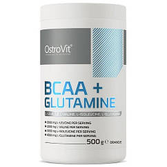 Амінокислоти (БЦАА) OstroVit BCAA + Glutamine (500 грам.)