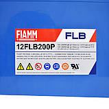 Тягова акумуляторна батарея AGM FIAMM high performance 12V 55Ah (12FLB200P), фото 2