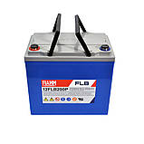 Тягова акумуляторна батарея AGM FIAMM high performance 12V 55Ah (12FLB200P), фото 4