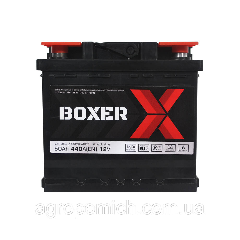 Автомобільний акумулятор BOXER (545 80) (L1) 50 Ah 440A R+ (правий +), фото 1