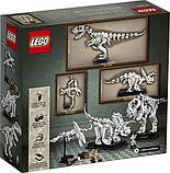 Конструктор LEGO Ideas 21320 Dinosaur Fossils Динозаври, фото 5