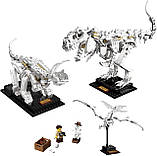 Конструктор LEGO Ideas 21320 Dinosaur Fossils Динозаври, фото 3