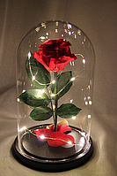 Роза в колбе с LED подсветкой большая красная OM227