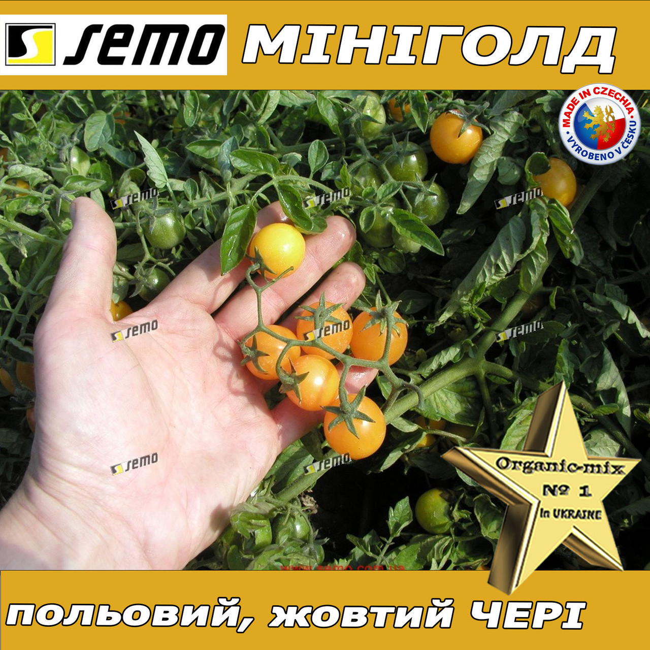 Томат жовтий ЧЕРІ  Мініголд ТМ Semo (Чехія), 100 грамм проф. пакет, фото 1