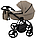 Дитяча коляска 2 в 1 Adamex Blanc Eco SA-9, фото 8