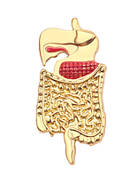 Медицинская брошь брошка значок пин золотистый металл медицина кишечник толстая кишка печень органы
