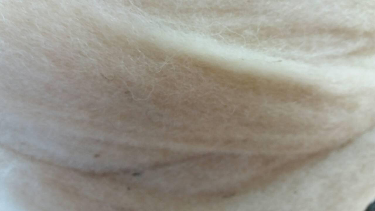 

Шерсть для валяния в ленте. Сливер, Упаковка 10 грамм., Бежевый