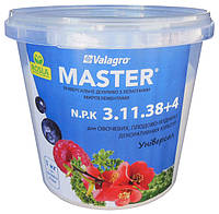 Комплексное минеральное удобрение Master (Мастер) NPK 3.11.38+4, 1 кг, Valagro