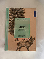 Лес Как устроена лесная экосистема Адриане Лохнер