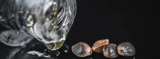 cbd ізолят купити