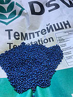 Ріпак Темптейшн