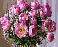 Картина за номерами Квіти Набір для розпису на полотні Ніжні півонії Живопис по номерам 40x50 Rainbow Art GX44492