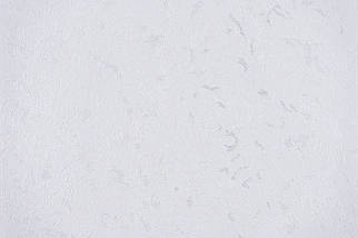 Шпалери Вінілові на паперовій основі 05м Слов'янський шпалери 945802 Шпалери 0,53 м X 10,05 м Геінсберо 4824033338482