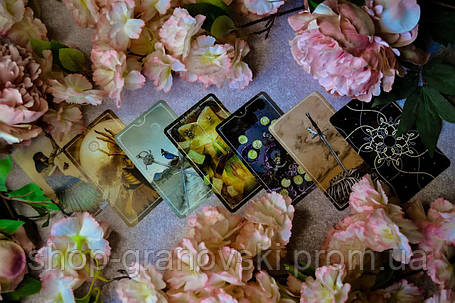 Карті Таро Остара (Tarot Ostara), фото 2