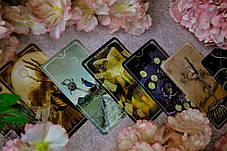 Карті Таро Остара (Tarot Ostara), фото 2
