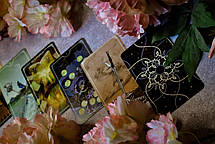 Карті Таро Остара (Tarot Ostara), фото 2