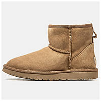 Мужские / женские зимние UGG Classic Mini Chestnut, унисекс коричневые замшевые угги классик мини ботинки уги