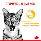 Вологий корм Royal Canin (Роял Канін) Sensory Taste для кішок, що стимулює смакові рецептори (у соусі), фото 3