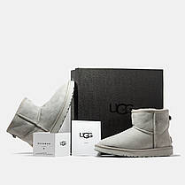 Зимові Жіночі Черевики UGG Classic Mini Light Grey / УГГ Класік Міні Світло Сірі, фото 6