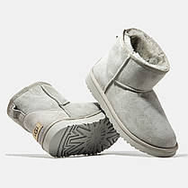 Зимові Жіночі Черевики UGG Classic Mini Light Grey / УГГ Класік Міні Світло Сірі, фото 4