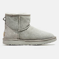 Зимові Жіночі Черевики UGG Classic Mini Light Grey / УГГ Класік Міні Світло Сірі, фото 3