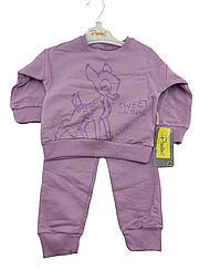 Спортивний костюм дитячий Туреччина 2, 3, 4, 5 років для дівчинки трикотажний теплий фіолетовий (КДМ103)