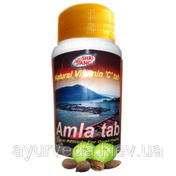 Амла, таблетированая Amla tablets (200tab) - фото 2 - id-p336637978