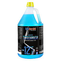 Зимовий омивач скла -12 °С 3,79 л Ekokemika Black Line Winter SCREENWASH (780910)