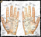 Масажер для пальців рук — "Roller Massager", фото 5