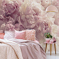 Фото обои для девочек в комнату 368 x 254 см 3Д Цветы Пудрово-розовые пионы (13818P8) Клей в подарок