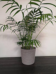 Вазон "Ф'южн" зі вставкою низький D23*22см