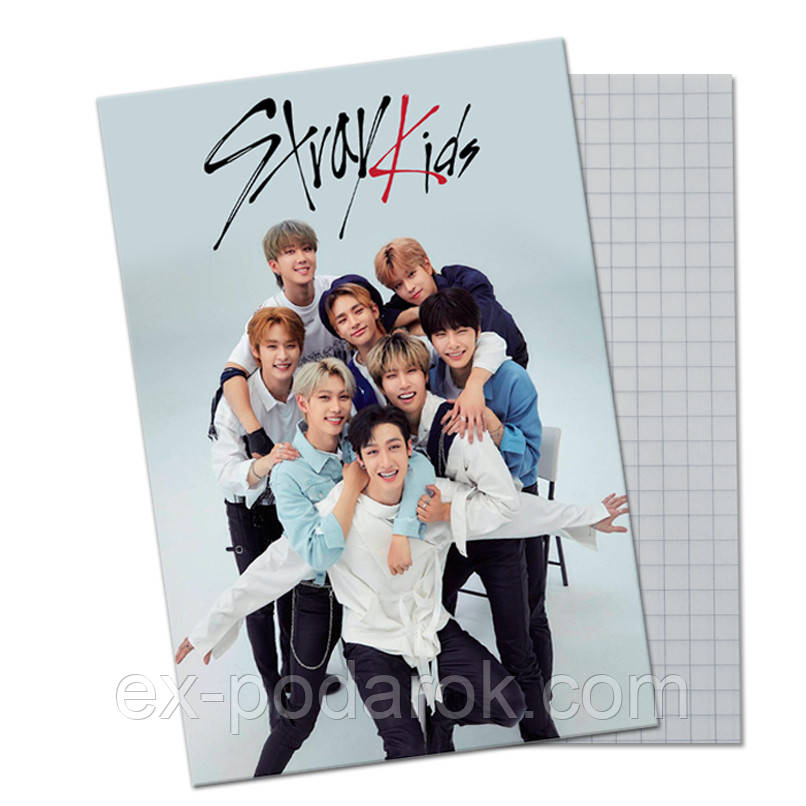 Зошит Стрей Кідс 48листів/Тітрадка Card Stray Kids 48 аркушів