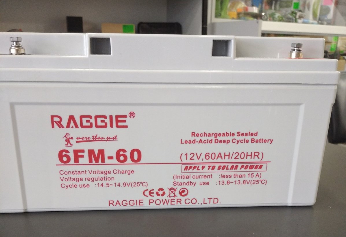 Акумулятор глибокого розряджання AGM Reggie 12 V 60 Ah/20Hr