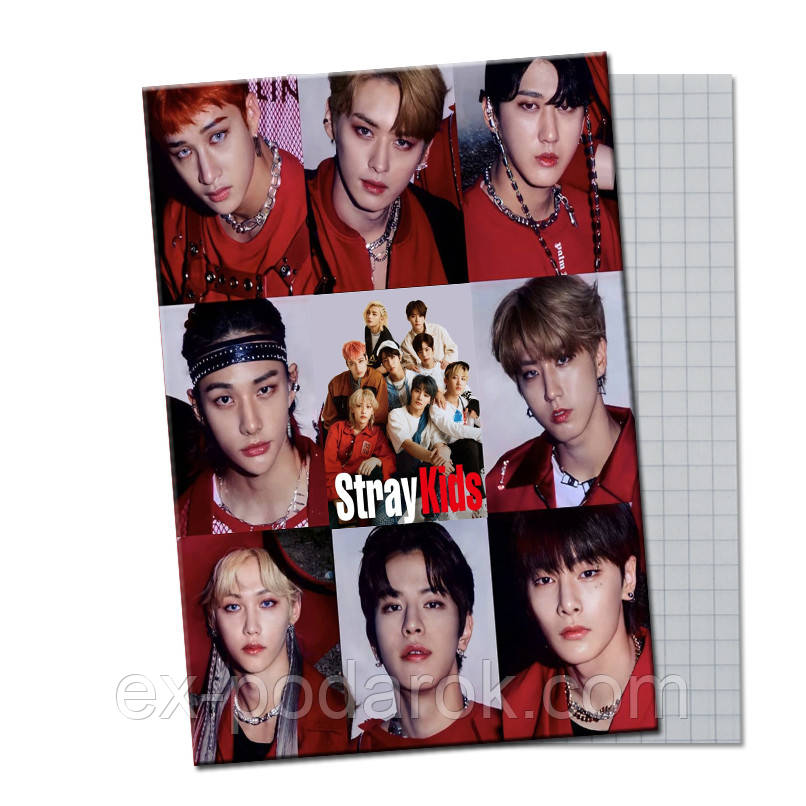 Зошит Стрей Кідс 48листів/Тітрадка Card Stray Kids 48 аркушів 02