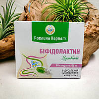 Біфідолактин symbiotic 60 кап