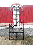 Розпашні ворота+ хвіртка, фото 2