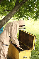 Костюм бджоляра євро (тканина котон)