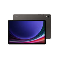 Планшет Samsung Galaxy Tab S9 5G 12GB\/256GB Graphite (SM-X716BZAESEK)